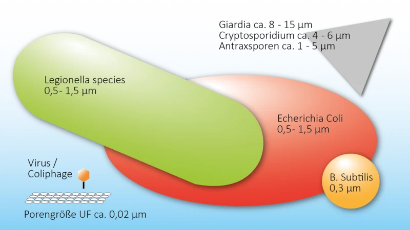 Größenvergleich: Wasserkeime und die Porenweite der Ultrafiltration