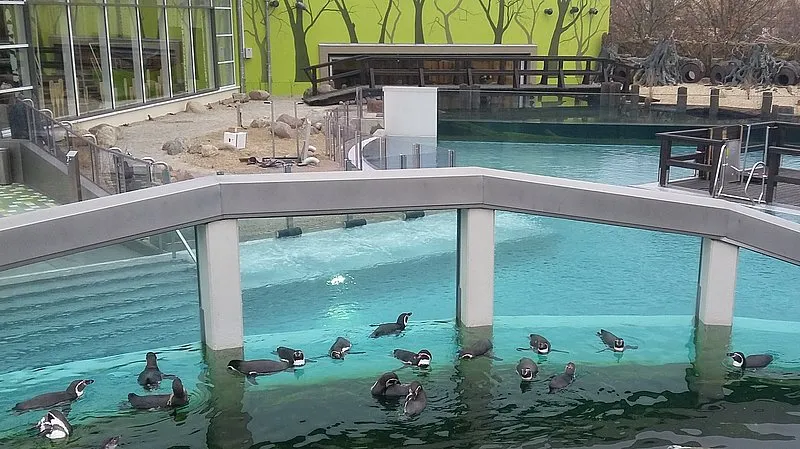 Pinguinbecken Spreewelten Lübbenau - Wasseraufbereitung von W.E.T.